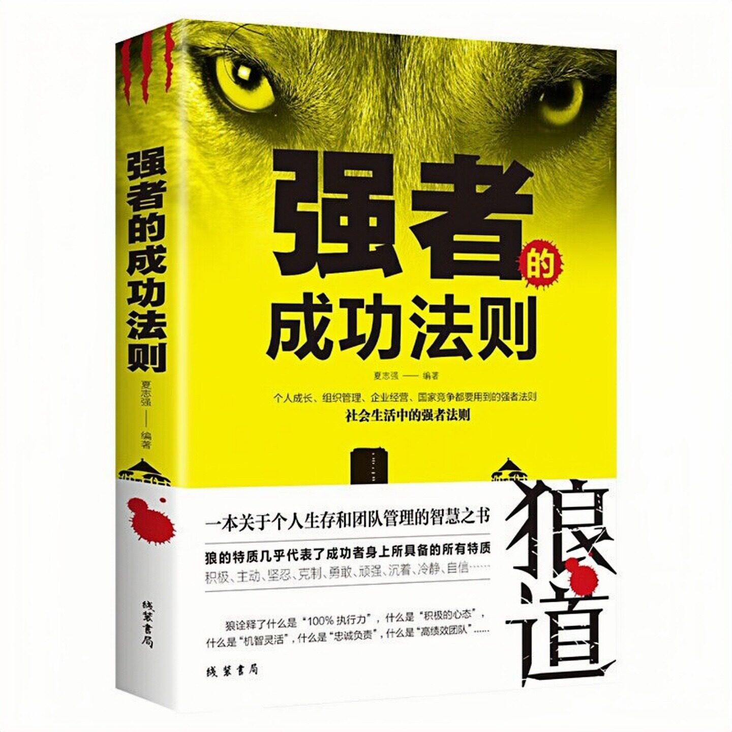 强者的成功法则励志成功书籍