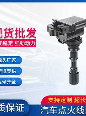 点火线圈高压包TT04A SMW250352适用中华骏捷1.6L/1.8L汽车配件