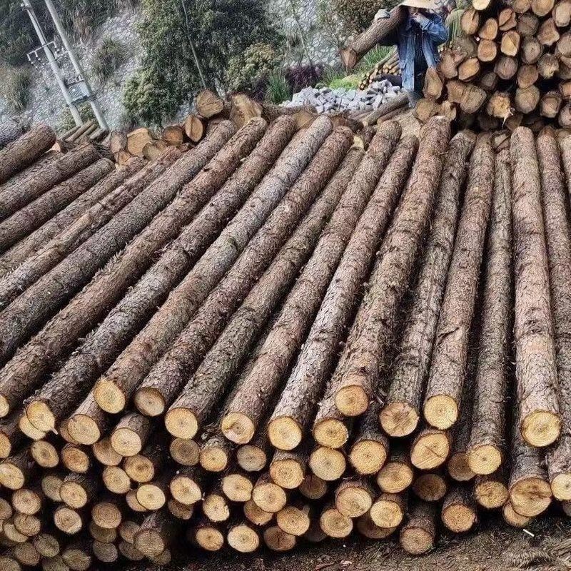 杉木桩河道打桩木支撑围栏墩子固定架子木头桩子S原木造景篱笆防