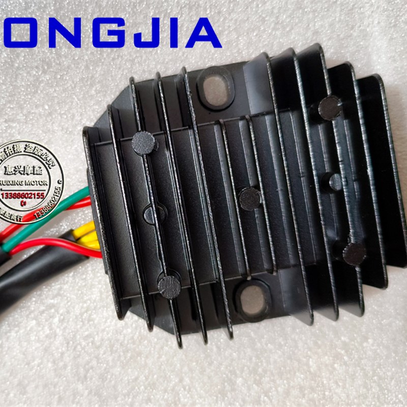 龙嘉V途 cLJ250-2V 稳压器 整流器 充电器【V咖 V途 V霸通用】