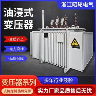 S11油浸式 1250kva户外10kv柱上高压变压器厂家 电力变压器315 630