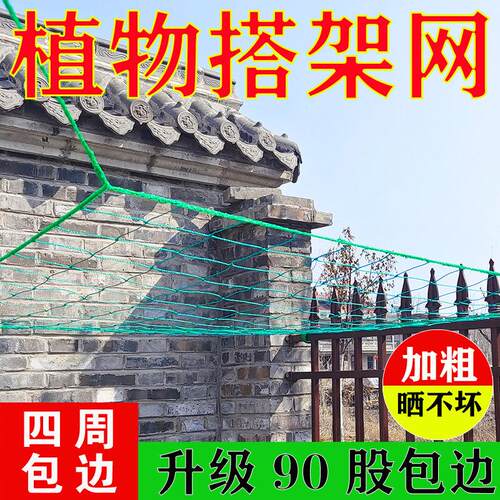 园艺植物爬藤网攀爬种植搭架丝瓜百香果豆角月季花加粗特粗爬藤网