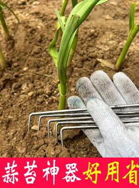 2025新款抽蒜苔神器蒜薹收割刀蒜钩提拔刮蒜苔工具加长款抽蒜苔钩