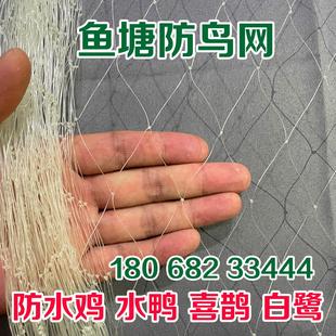 鱼塘防鸟网天网养殖网大网眼尼龙综丝纱网防鸟用的网泥鳅鱼塘天网