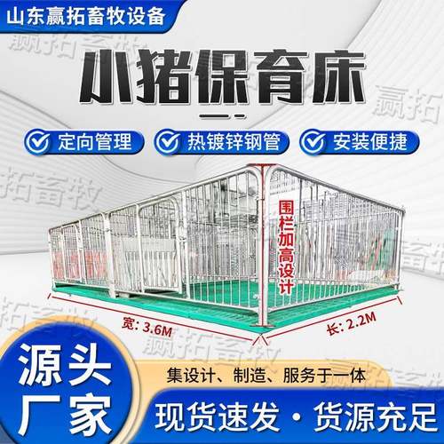 现货小猪保育床猪仔热镀锌挡板全复合板加厚保育床猪产床养殖设备