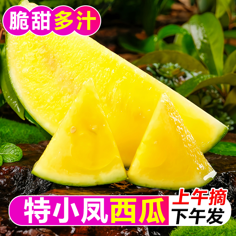 特小凤黄瓤西瓜新鲜现摘皮薄肉脆多汁金黄果肉当季整箱清甜爽口