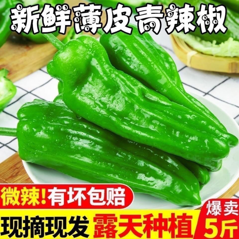现摘现发薄皮青辣椒农家自种青椒薄皮椒微辣芜湖椒应季新鲜蔬菜