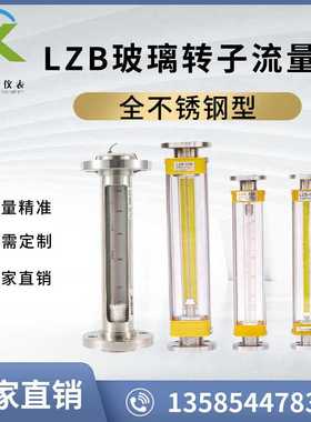 LZB-125B玻璃转子流量计不锈钢DN125防腐防锈气体液体浮子精准
