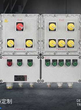 BXMD51防爆照明动力配电箱户内户外BXMD53 BXMD52 BXMD-DIP粉尘