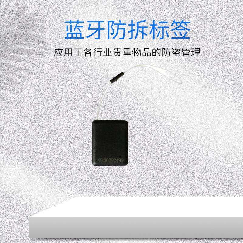 蓝牙标签 防拆标签 智慧停车蓝牙信标反向寻车电子标签车辆专用
