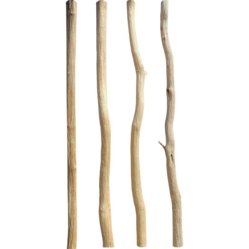 天然干树枝 装饰枯木原木树干客厅玄关干枝隔断茶室幼儿园背景墙