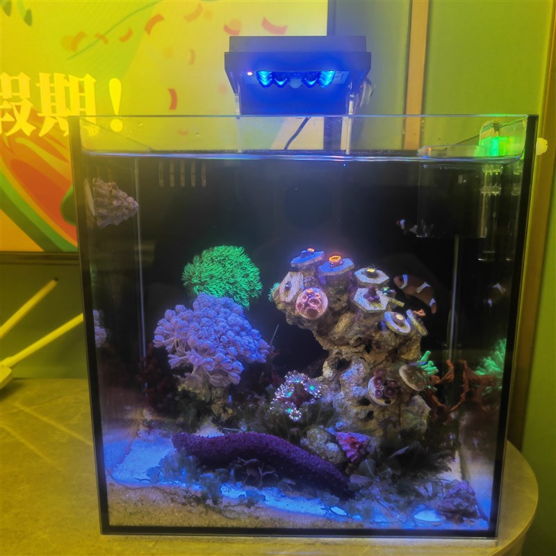 可定时调光18瓦珊瑚灯30方海缸海水鱼缸小丑鱼珊瑚背滤缸海水缸