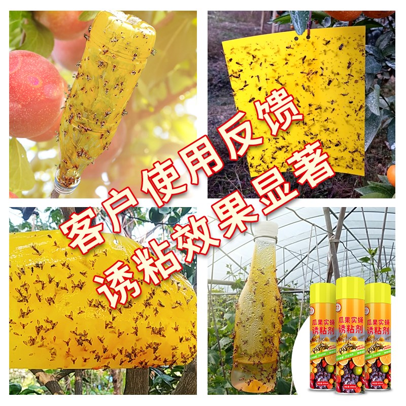 豪之盛瓜果实蝇诱粘剂果蝇诱捕器果园菜地杀虫剂灭针蜂药引诱剂