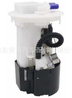 燃油泵总成 适用于雷诺 8200029080 820002980 E10706M