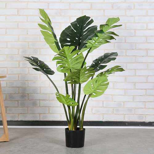 绿植大型盆栽旅人蕉琴叶榕树园艺植物虎皮兰龟背家居装饰E18