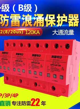 电流Imax80 100 120 160kA浪涌保护器SPD配电柜一级防避雷器2P 4P
