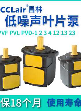 PV1定量PVD2叶片泵PVL1 PVF3 12 13 23 14 17 19 23 28 33 41 47