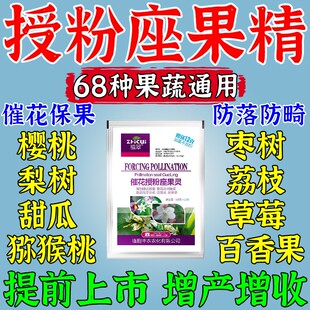 授粉坐果精西红柿樱桃猕猴桃甜瓜草莓荔枝保花保果药防落果叶面肥