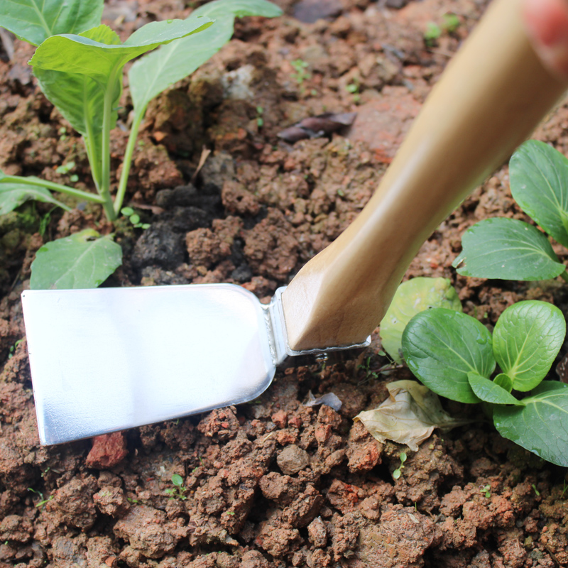 户外木柄锄头全钢挖笋种菜种花加厚锄头农用耙镐不锈钢两用小锄头