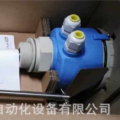 E+H FTE30 限位开关 阻旋式物位开关 FTE30-AABA