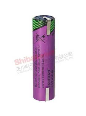 TL-5937 DD ER32L1245 塔迪兰 Tadiran 锂亚电池 可加 插头 焊脚