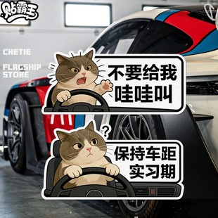 暴躁小猫不要哇哇叫文字汽车摩托油箱玻璃窗机箱划痕反光贴