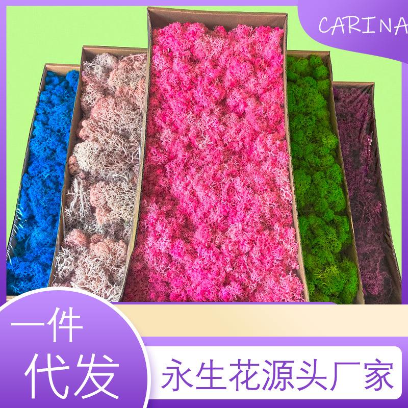 永生苔藓植物造墙景家居软装手工DIY材料办公文化墙艺花卉