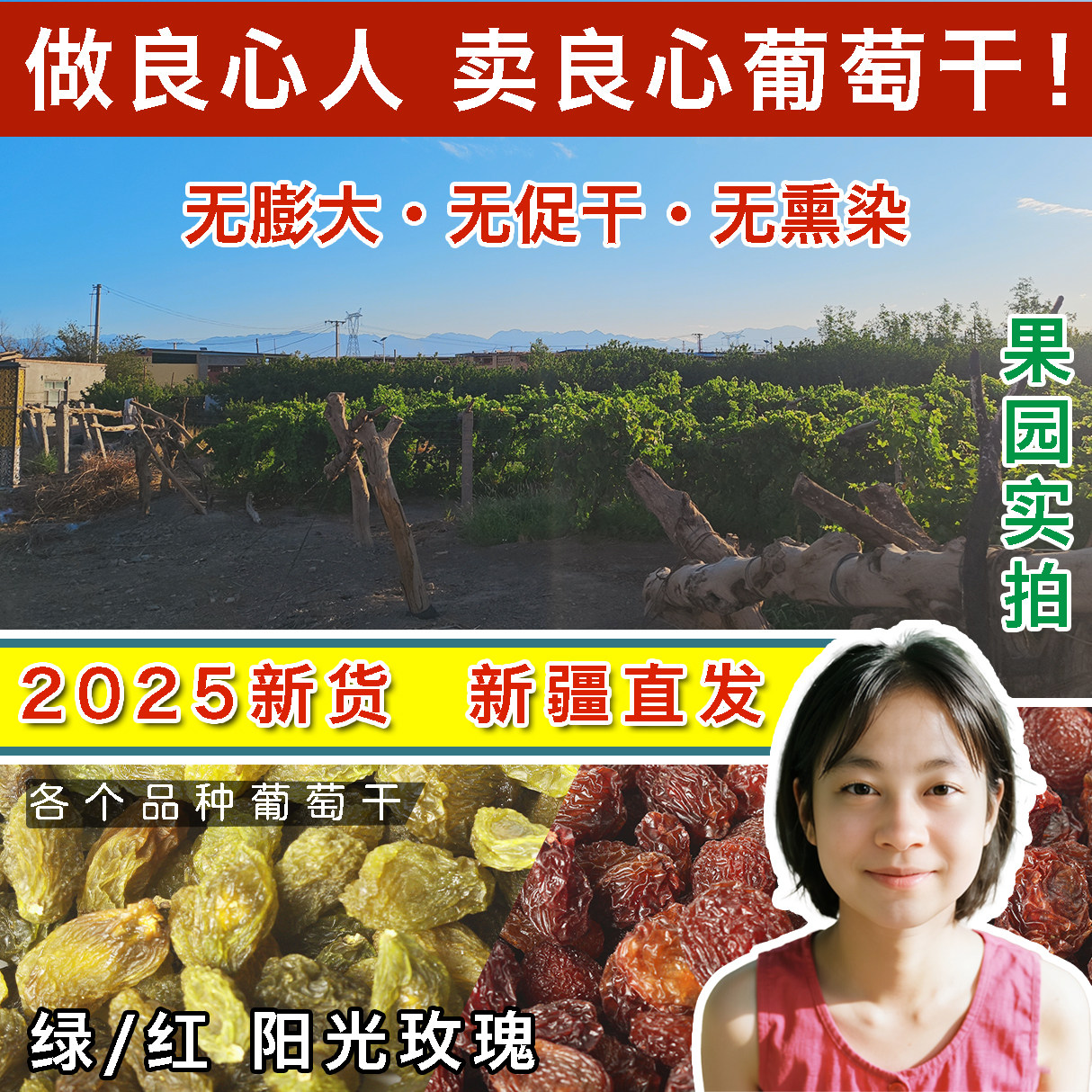 新疆特产吐鲁番大颗粒葡萄干提子新货无添加特级超大免洗优质产地