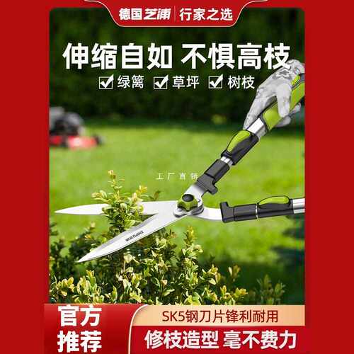 经典实用园林剪刀园艺树枝剪花草高枝修剪绿篱剪粗枝大剪刀修枝剪