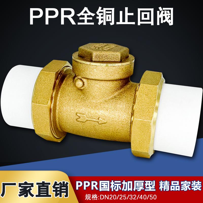 4/6分热熔止回阀黄铜卧立式逆止20/25PPR双活接自来水管表单向阀