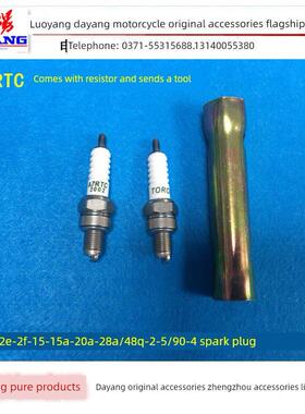 大杨摩托车弯梁Dy100/110-2E-2F-15-15A-20A-28A火花塞火焰喷嘴电
