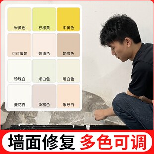乳胶漆硅藻泥墙面开裂修复修补膏杏子灰菱花白灰色滚筒墙漆补墙漆