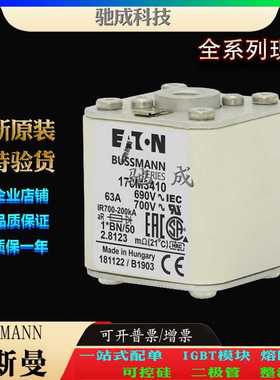 巴斯曼170M3410 170M3411 170M3412 现货直销销售价优 低压熔断器