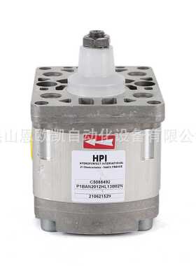 供应法国HPI齿轮泵P1BAN2012HL10B02N