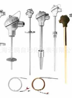 WRE-230D/WRNT-12炉壁导热板热电偶WRPF-130G