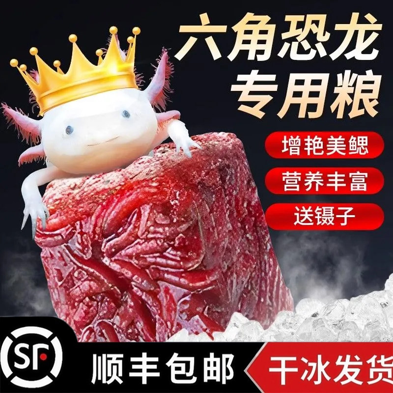 六角恐龙鱼专用粮鱼饲料冷冻红虫