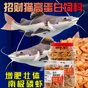 招财猫鱼专用鱼饲料虾干南极磷虾冻干增壮补钙高蛋白虾干龙鱼专用