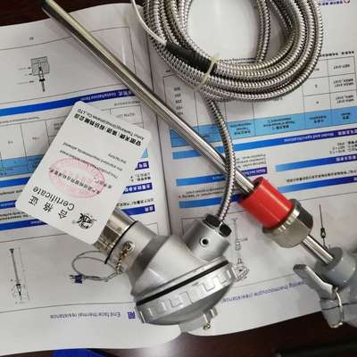 WZPK-230 铂热电阻