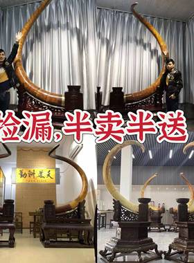 天然猛犸象牙摆件整根原牙大对摆大牙尖单摆办公送礼乔迁镇宅文玩