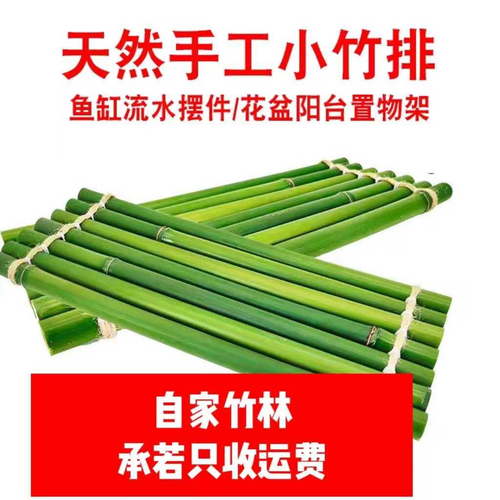 鱼缸水池摆件装饰竹子新鲜竹竿真竹子造景植物墙隔断挡土围栏篱笆