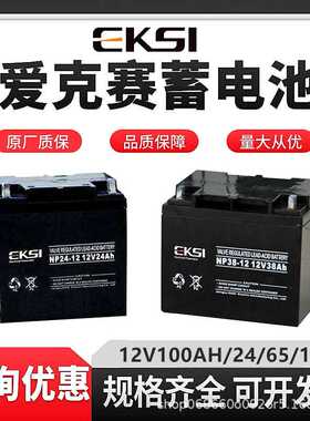 EKSI爱克赛蓄电池NP100-12  7 17 24 38 65 120AH机房直流屏专用
