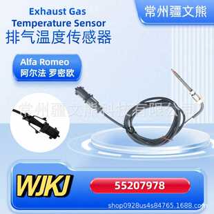 55207978  排气温度传感器 尾气温度传感器 适用 Alfa Romeo EGT