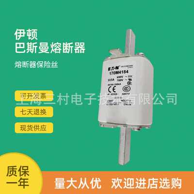全新原装快速熔断器保险丝170M4196 170M4197 170M4198 170M4202