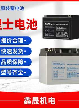 理士蓄电池DJM12100S铅酸免维护17a24ah38ah65ah150ah200a12V100A
