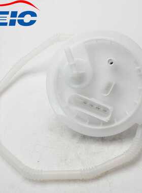 7P0919679A WG1756173 95862042210喷油器系统燃油泵