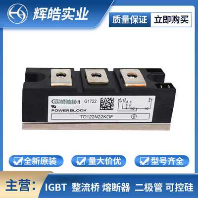 TD122N22KOF TD122N24KOF 可控硅模块 电子元器件 辉皓实业