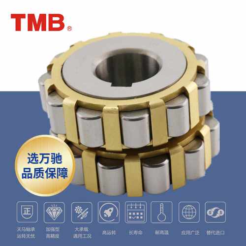 TMB/天马精工550752305HA整体偏心圆柱滚子减速机轴承组合通用