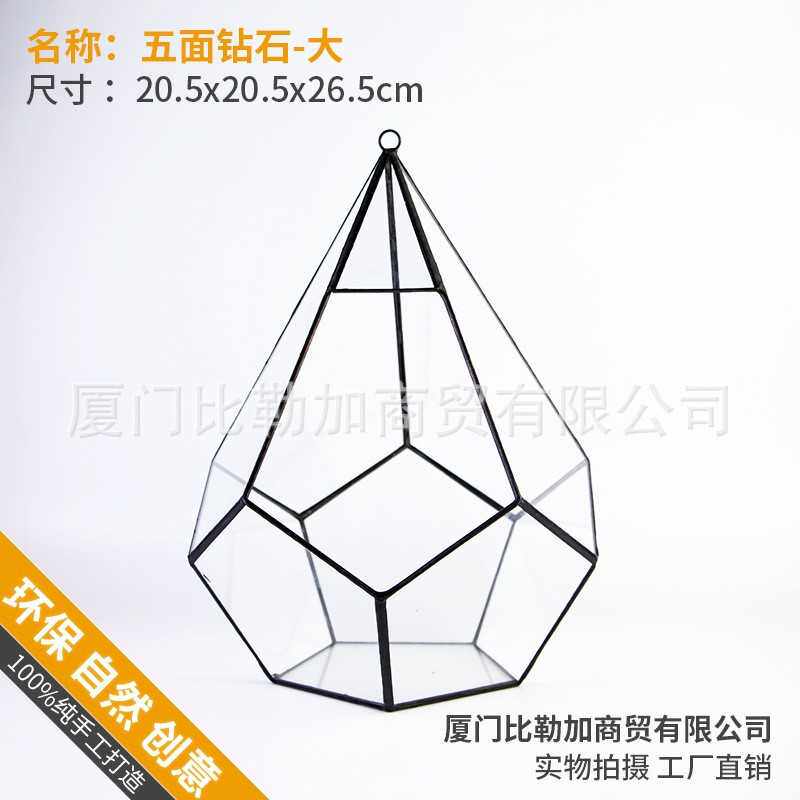 五面钻石大 多肉植物苔藓微景观不规则大玻璃永生小花房盒