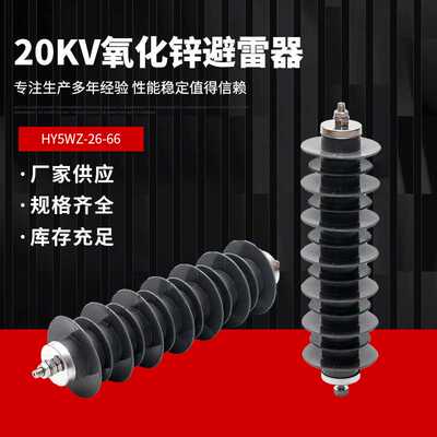 20kV户外氧化锌避雷器HY5WZ-26/66高性能24kv高压电站型防雷HY5WS