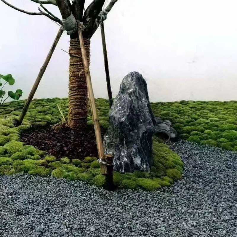 靠山庭院风景石大型造景假山园林景观石异形水钵刻字黑山石